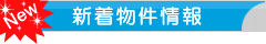 新着物件情報