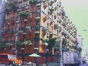 オーガニックビル