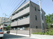 アンプルールフェールカメリア