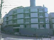 エルベ１６１レディース